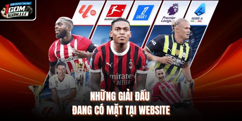 Những giải đấu đang có mặt tại website